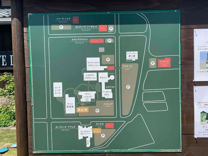 カーブドッチ地図